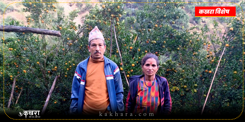 कृषिमा रमाएका खड्का दम्पती, जो अमेरिका जाने सपना देखेका छोरालाई पनि कृषिमै आबद्ध गर्न चाहन्छन् 